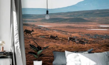 Photowall speelt in op de trends van dit moment