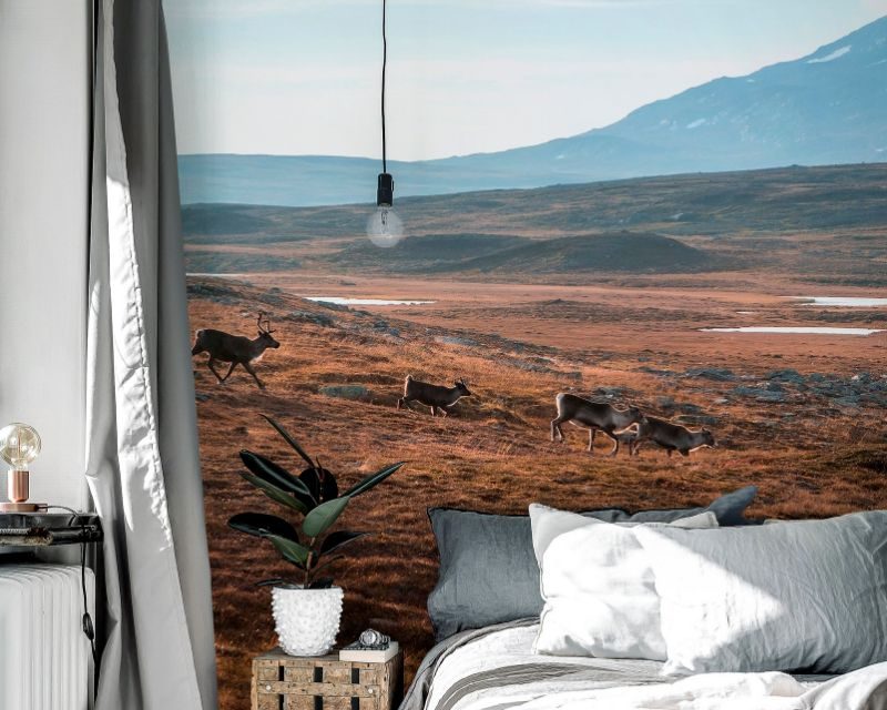 Photowall speelt in op de trends van dit moment