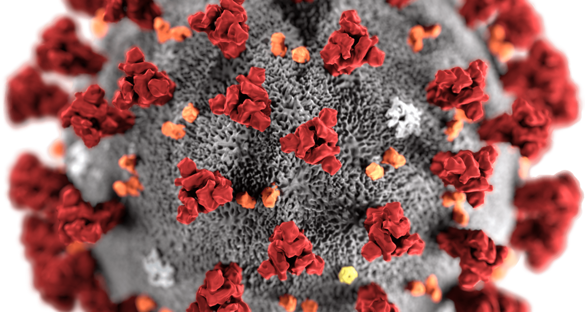 CBM vraagt leden naar impact Coronavirus