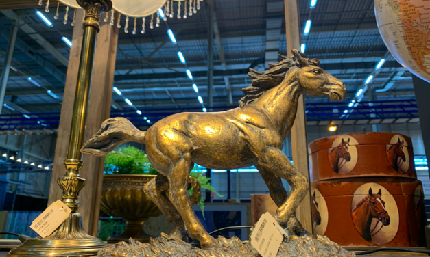 Easyfairs tevreden over Trendz