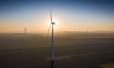 Ingka Group investeert 600 miljoen euro extra in duurzaamheid