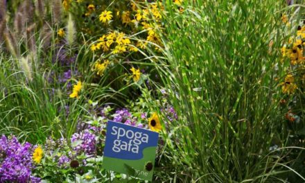 spoga+gafa lanceert videocasts