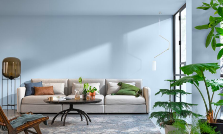 Color of the Year 2022: een frisse wind voor AkzoNobel houtcoatings
