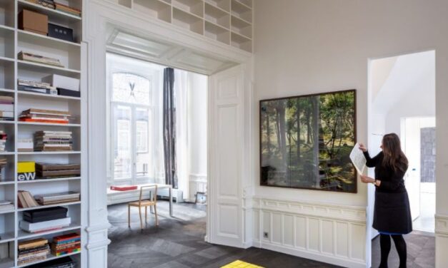CS rugs lanceert nieuwe website