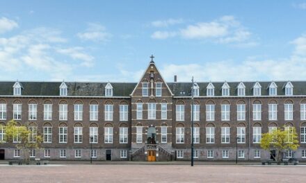Teaser van Leolux voor Synthese in september