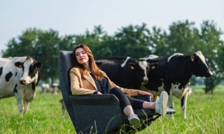 Consument wil ‘moderne’ design relaxstoel
