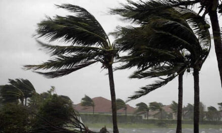 Exporterend bedrijfsleven zet zich schrap voor tegenwind