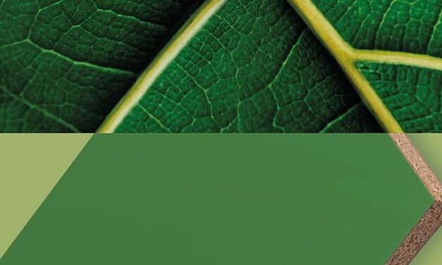 Bewust duurzamer met OrganicBoard