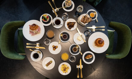 Lisa van S-CAB is een restaurantstoel bij uitstek