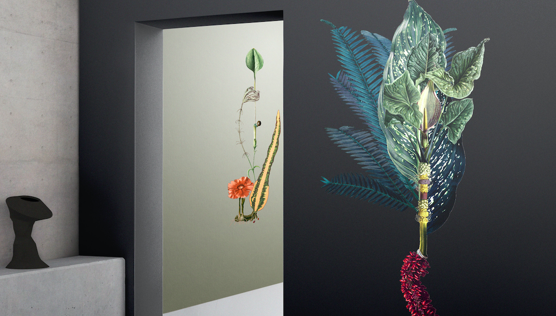 John van Zweden Wonen koopt gehele collectie BN Wallcoverings op: 65.000 rollen behang. Ook Riviera Maison behangcollectie overgenomen.