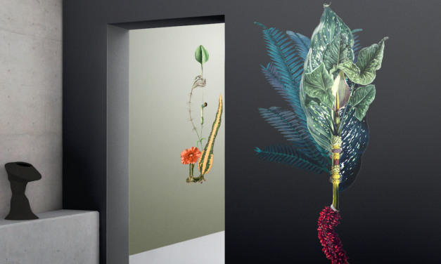 John van Zweden Wonen koopt gehele collectie BN Wallcoverings op: 65.000 rollen behang. Ook Riviera Maison behangcollectie overgenomen.