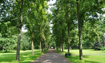 Tuinbeurs spoga + gafa ondersteunt het groeien van een bos in Keulen