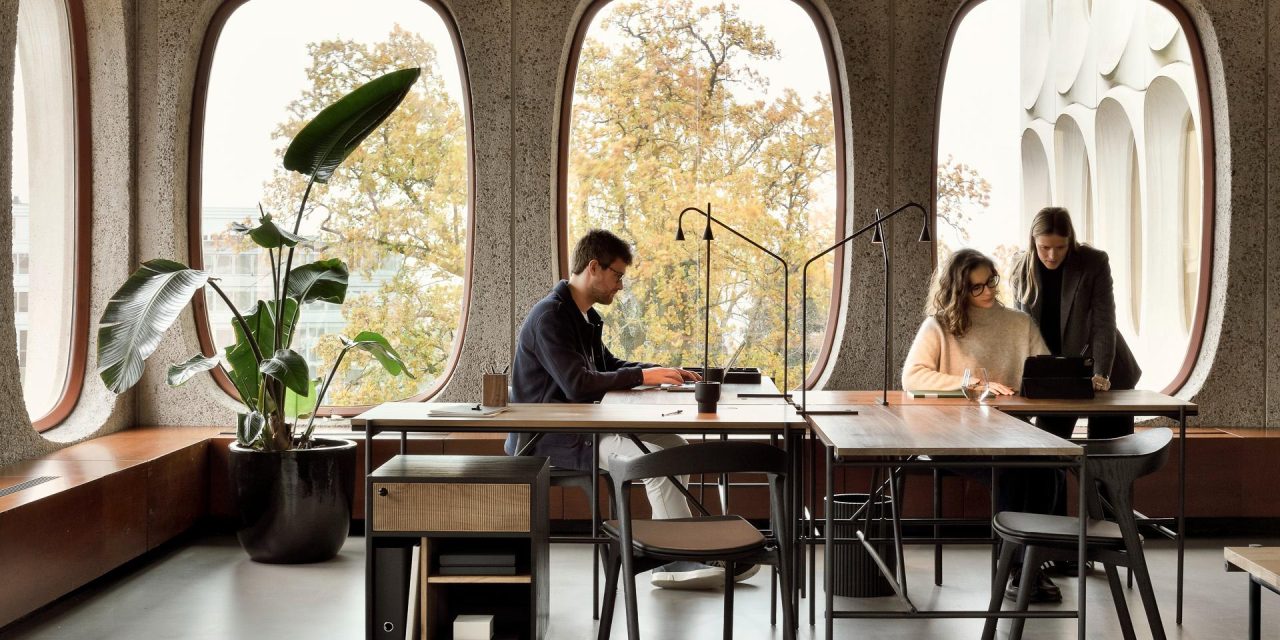 Live Light by Ethnicraft heeft geen Circular Monday nodig