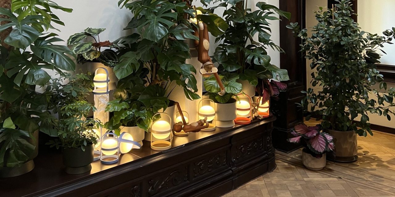 Francq Colors bij MelMath Agency in Antwerpen