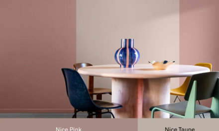 Theo-Bert Pot x Flexa x Karwei: The Nice Stuff Colors