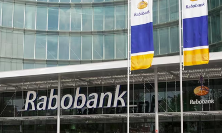 Nieuwe kwartaalupdate Rabobank: fysieke winkels blijven onmisbaar ondanks groei e-commerce