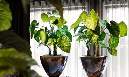 Pot & Vaas op Consumenteninspiratiedagen in ETC