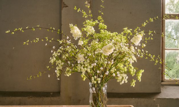 Silk-ka presenteert de nieuwe collectie voor 2026