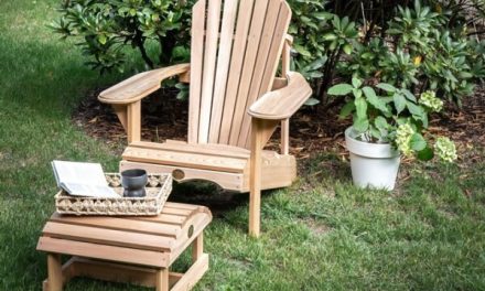 Genieten in een Bear Chair