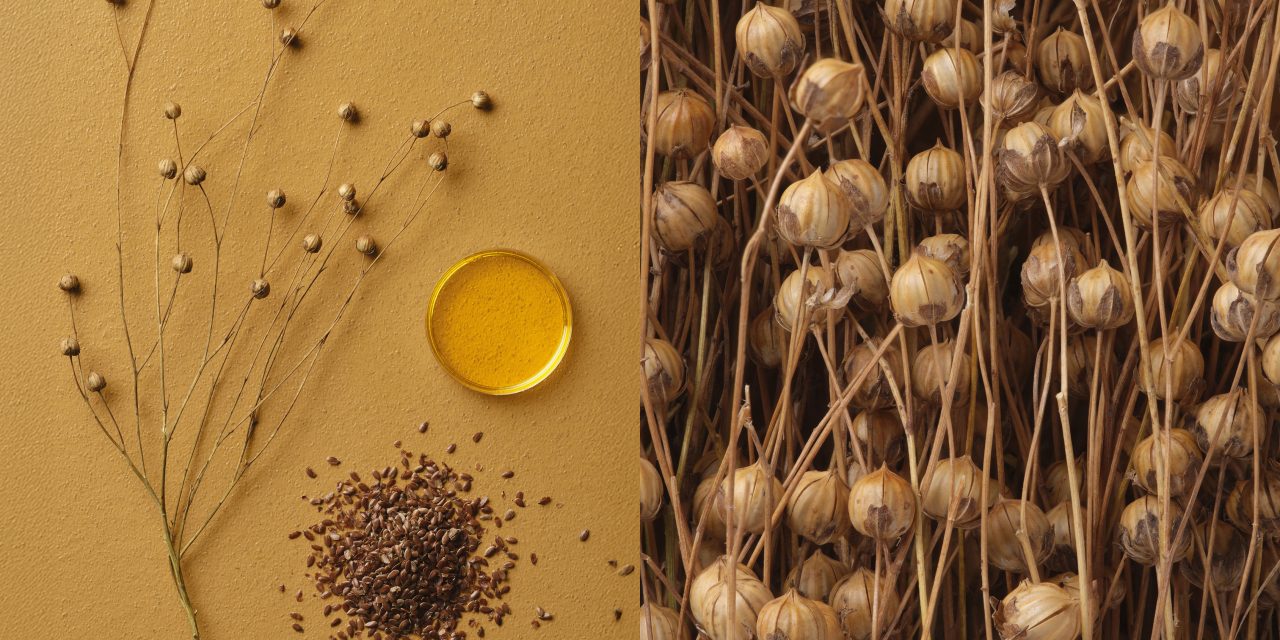 Tarkett presenteert ’s werelds eerste CO₂-negatieve linoleum