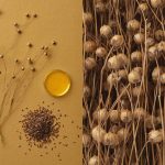 Tarkett presenteert ’s werelds eerste CO₂-negatieve linoleum