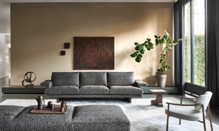 Nieuw van Linteloo: Frank en Flux