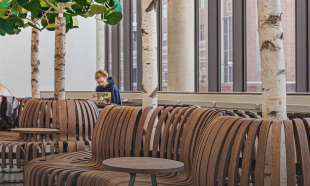 Green Furniture Concept heet voortaan Circalle